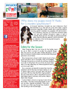 Mcleod Vet news letter. November 2011