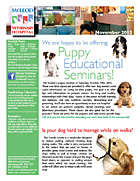 Mcleod Vet news letter. November 2013